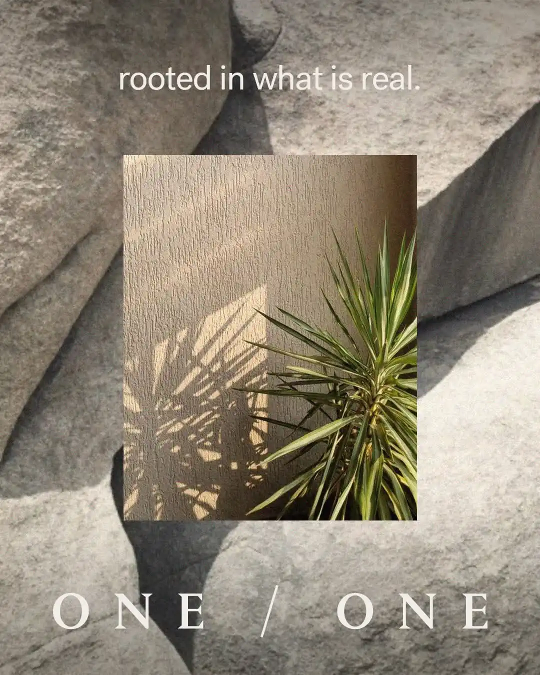 كمبوند جراوند التجمع السادس Ground New Cairo كافة التفاصيل